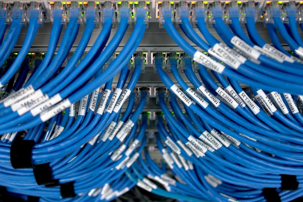 A dense panel of blue network patch cables — one server, many clients connected